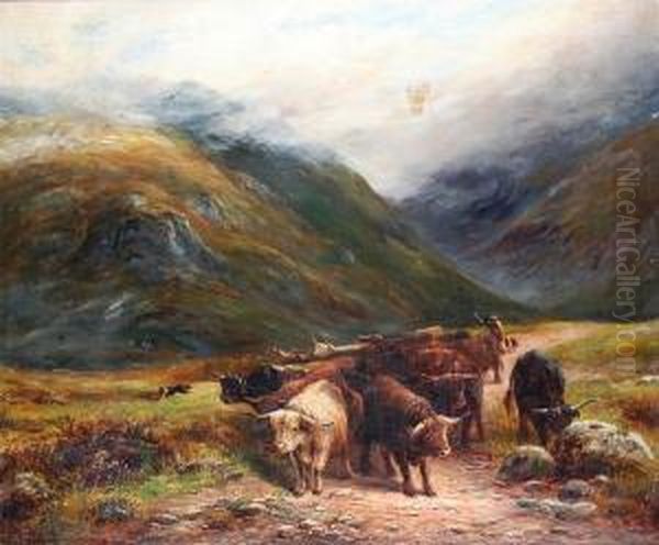 A Highland Drove In Glencoe - view 1