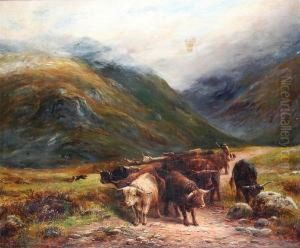 A Highland Drove In Glencoe