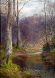 Woodland Stream Woodland Stream