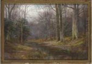 In Robin Wood, South Derbyshire