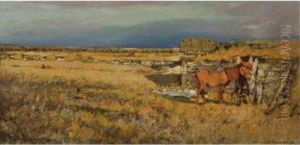 Country Landscape Country Landscape