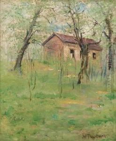 Cabin In The Woods In Spring - view 1