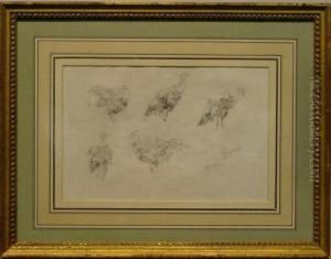 Five Turkeys [recto] And Tree [verso]: A Double-sided Drawing