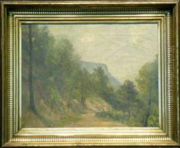 Road Through The Valley - view 1