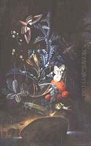 Woodland Scene with Flowering Thistle Snake Nightmoth and Butterflies