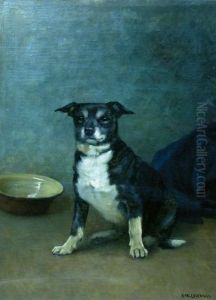 Sittende Hund