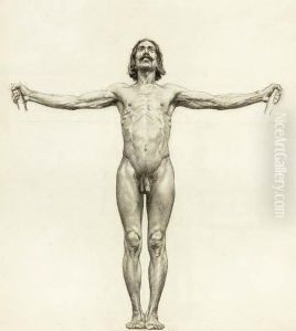 Study Of A Male Nude With Arms Outstretched.