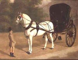A Grey Horse and Cabriolet with Groom