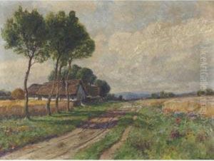 Summer Landscape Summer Landscape