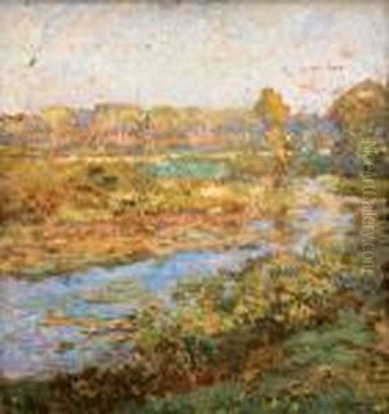 Na Mokrinach - view 1