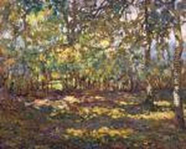Podzimni Les - view 1
