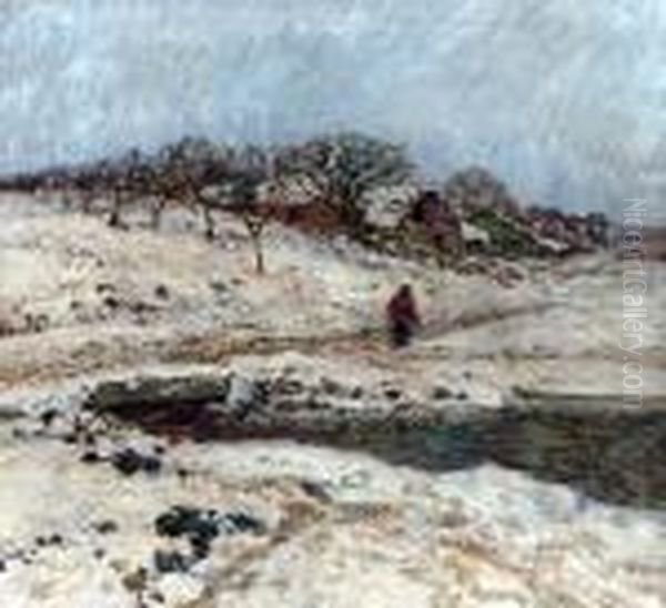Cestou Domu - view 1