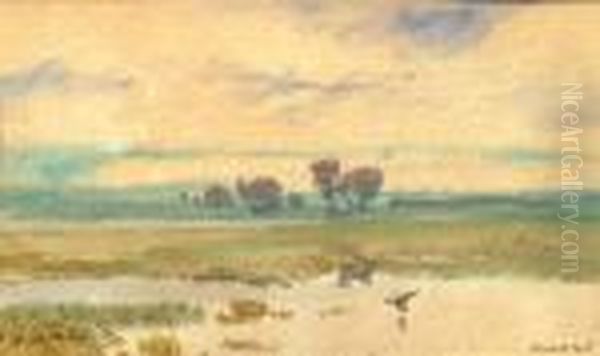 Ranni Nalada - view 1