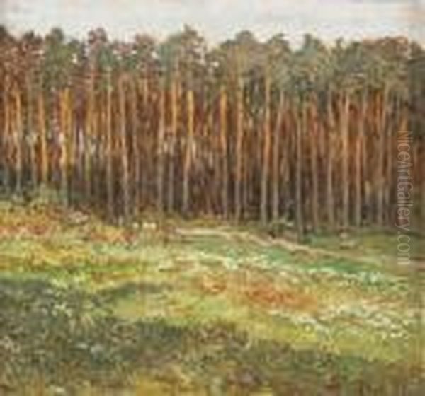 Na Kraji Lesa - view 1
