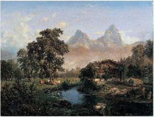 Vaches Au Pturage