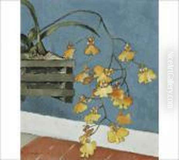 Yellow Orchid - view 1