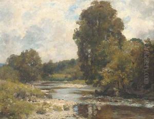 Boys bathing, summer
