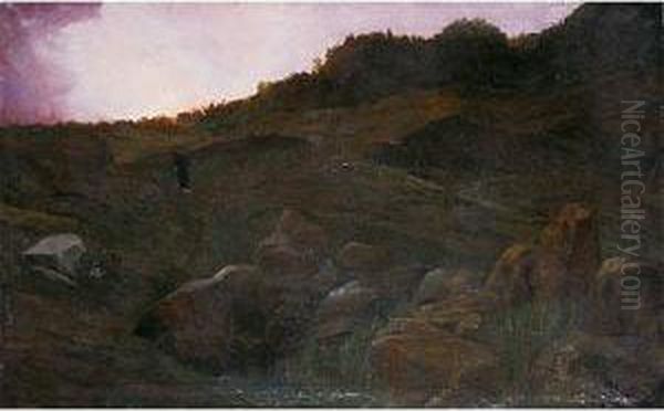 Paisaje Al Atardecer - view 1