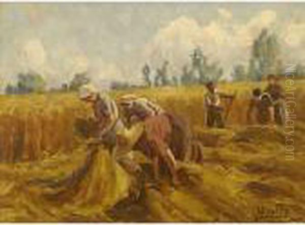 Nei Campi - view 1