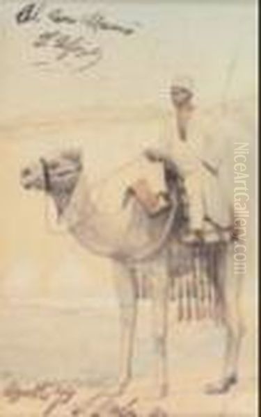 Arabo Su Cammello - view 1