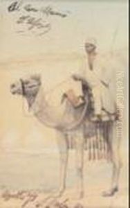 Arabo Su Cammello