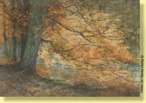 Reflexions D'arbres by Victor Uytterschaut