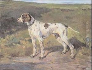 Cane Da Caccia by Alfredo Vaccari