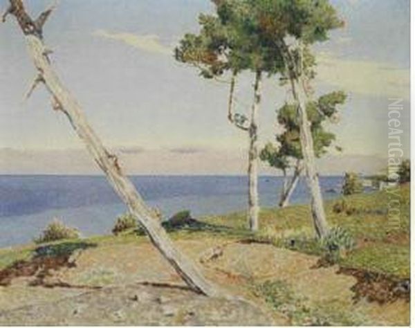 Pini Di Antignano - view 1