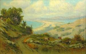 A Marin County Coastal View With Cattlegrazing In The Foreground A Marin County Coastal View With Cattlegrazing In The Foreground
