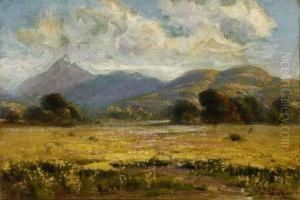 California Landscape In Spring by Manuel Valencia
