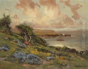 Coastal Wildflowers And Cumulous Clouds
