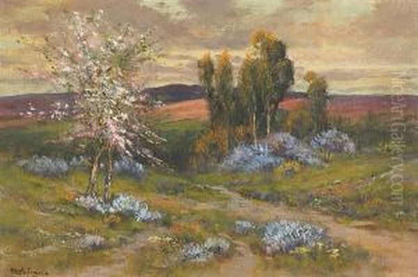 Flowers In The Hills - view 1