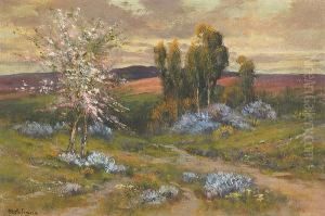 Flowers In The Hills