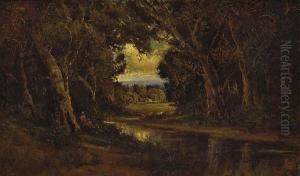 Cattle Watering At A Forest Stream by Manuel Valencia