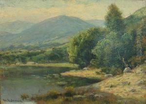 A Pond In The Foothills