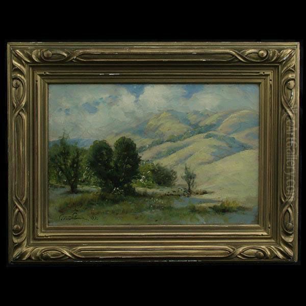 California Landscape - view 1