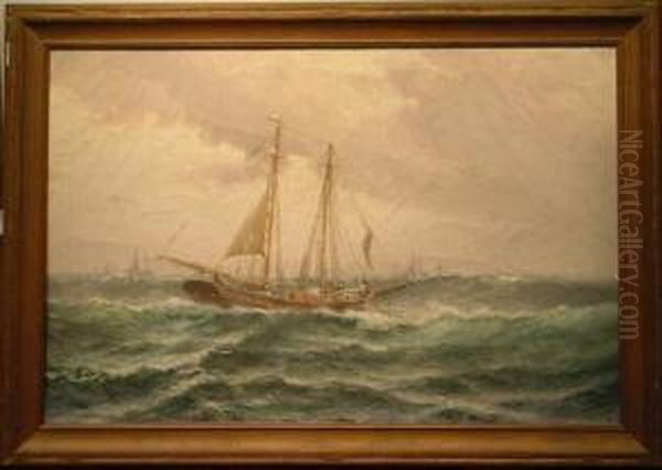 Schooner - view 1