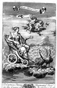 Venus in a Chariot Drawn by Peacocks by G Freman