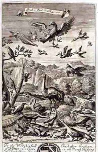 A Variety of Birds by G Freman