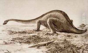 Brachiosaurus Brachiosaurus