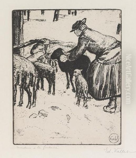 "moutons A La Fontaine". - view 1