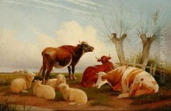 Cattle And Sheep In Alandscape - view 1