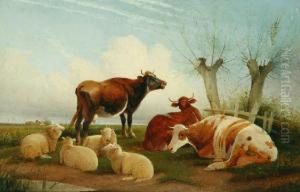 Cattle And Sheep Ina Landscape 
1903 Oil On Board Signed 'frederick E Valter' And Datedlower Centre 28 X
 42 Cm