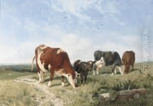 Cattle On A Summer's Day Cattle On A Summer's Day