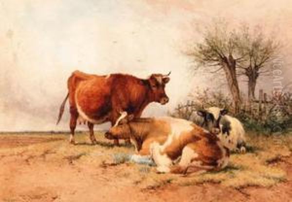 Cattle At Rest Before A Tree - view 1
