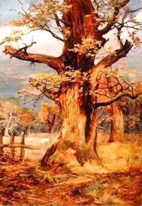 Blasted Oak Galloway