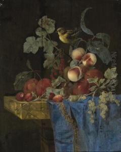 Plums, Strawberries, Peaches, 
Grapes, Redcurrants And Gooseberries With A Finch, On A Partly-draped 
Marble Ledge by Willem Van Aelst