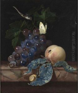 A Still Life With Grapes, A
Peach, A Cabbage-white, A Dragon-fly, A Snail And A Fly, All On A Marble
Ledge by Willem Van Aelst