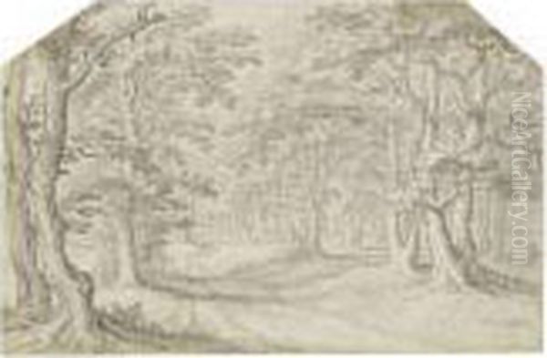 A Road Through Woods - view 1