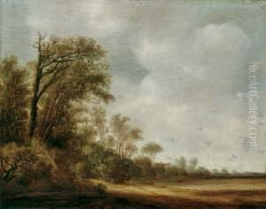 Sommerliche Dunenlandschaft. Sommerliche Dunenlandschaft.